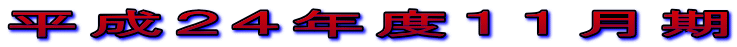 平成２４年度１１月期
